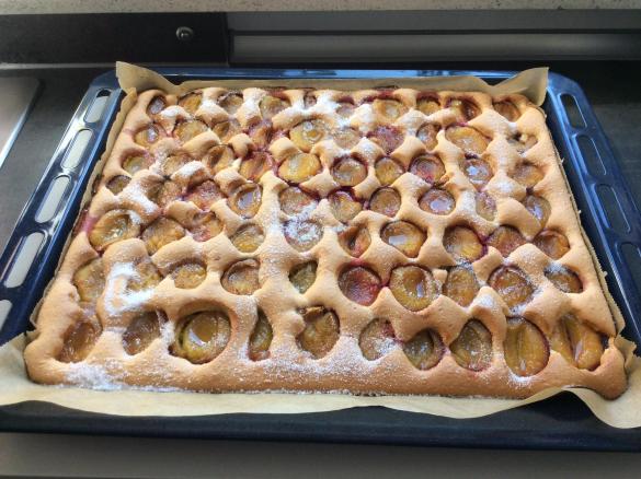 Pflaumenkuchen vom Blech mit Biskuitboden