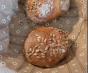 thumbnail image 2