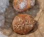 thumbnail image 1