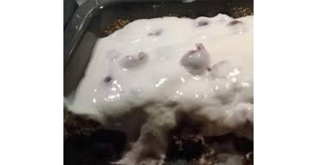 Resteplätzchen-Tiramisu von schnellenixe. Ein Thermomix® Rezept aus der ...