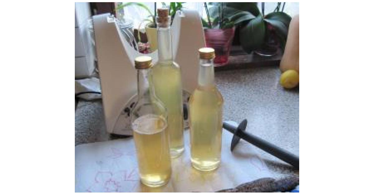 Apfelsaft ohne Zucker von Ruthly62. Ein Thermomix® Rezept aus der ...