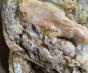 thumbnail image 1