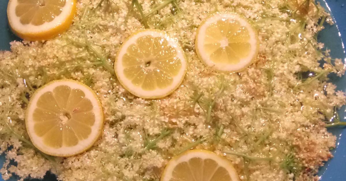Holunder Sirup - Hollersaft von cpogoda. Ein Thermomix® Rezept aus der ...