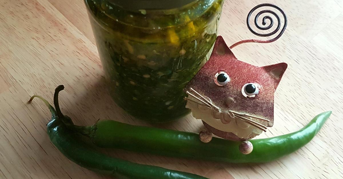 Grüne Chili Paste mit Brennnessel von Kräutergarten_Katze. Ein