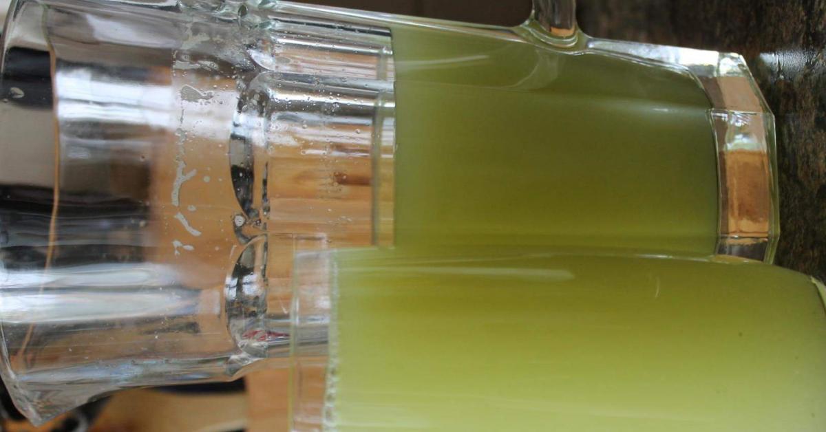 Sommer - Limonade von valentina25. Ein Thermomix® Rezept aus der ...