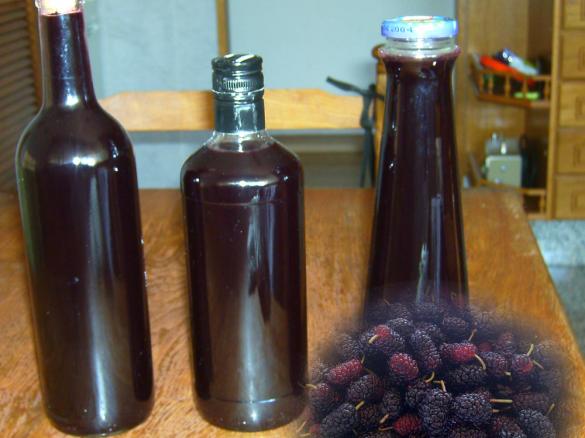Brombeeren Licor by Manuelarojo on www.rezeptwelt.de