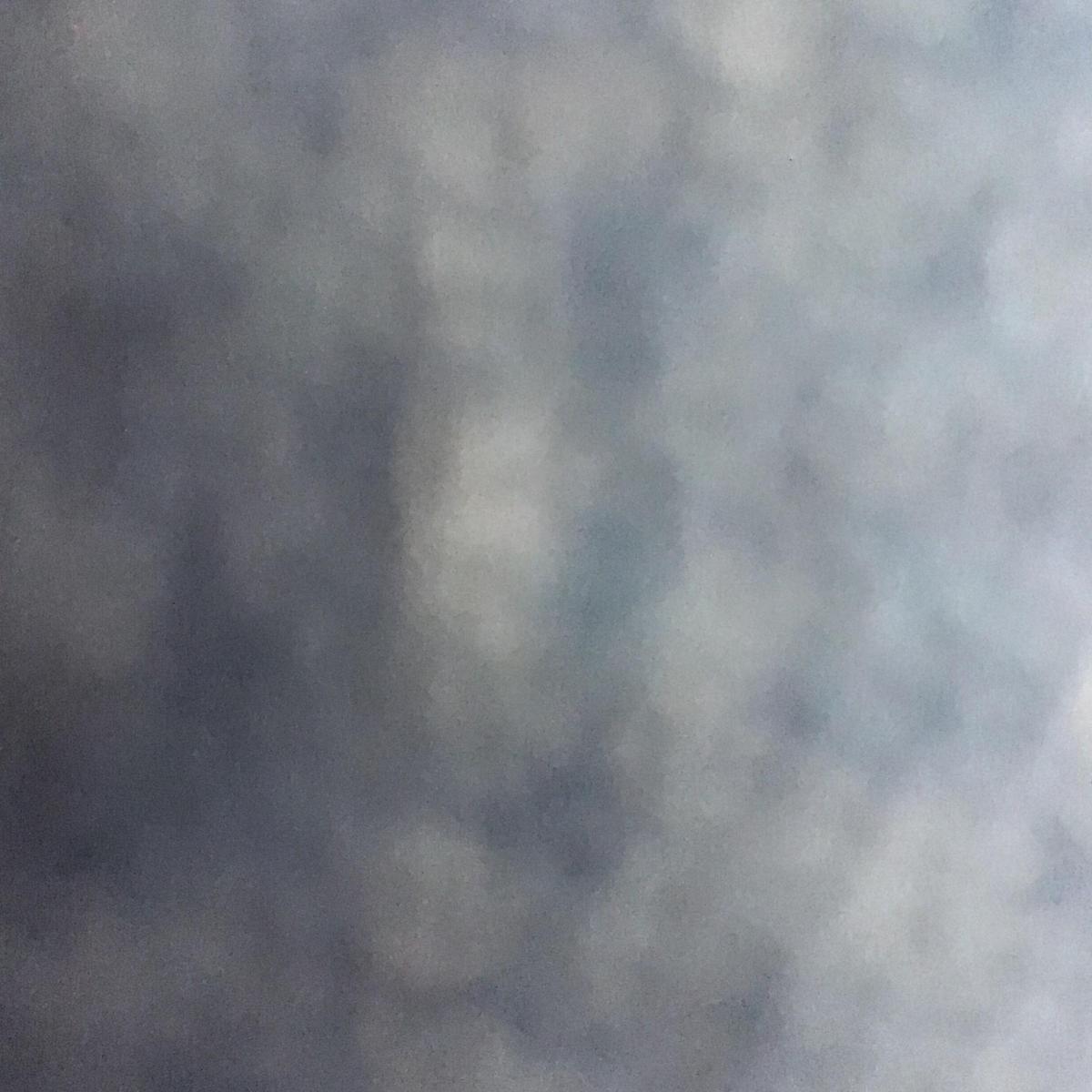 Variation Zuckerreduzierte (Schoko) Zucchini-Muffins OHNE Nüsse von ... Variation Zuckerreduzierte (Schoko) Zucchini-Muffins OHNE Nüsse von ...