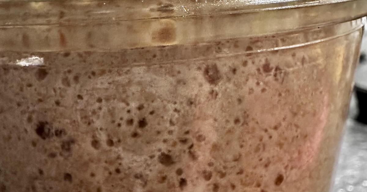 Poolish Brötchenteig von mo92. Ein Thermomix® Rezept aus der Kategorie ...