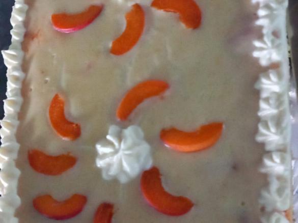 Aprikosentraum, Marillentraum, Sommertarte