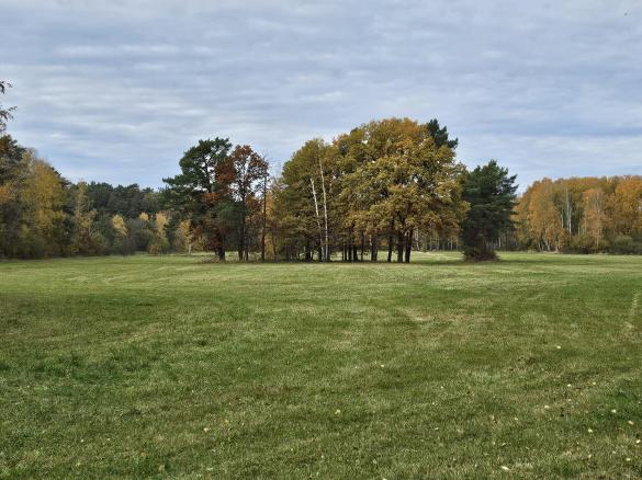 Variation Fluffiger Schoko-Bananen-Kuchen