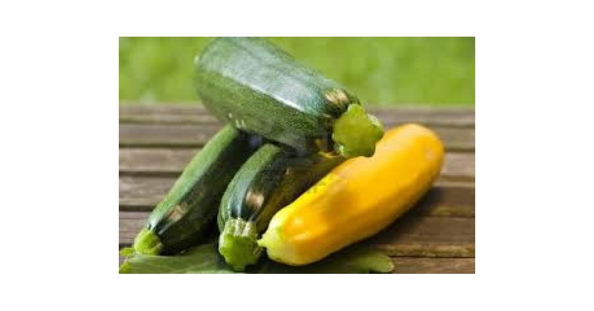 Französische Zucchini-Rohkost Rezept des Tages 26.08.15 von Hatschepsut ...