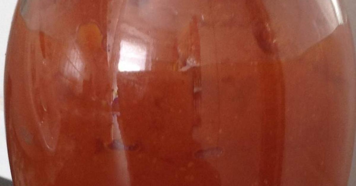 Tomatensoße mit frischen Tomaten von Heikendorfer Thermimaus. Ein ...