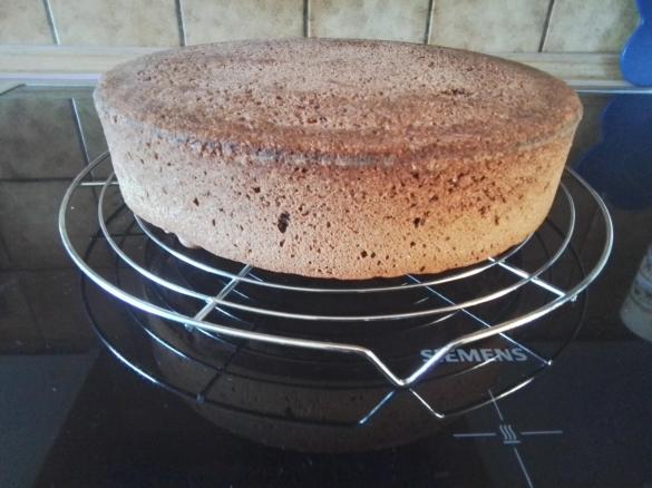 Dunkler Bisquit für Schwarzwaldes Kirschtorte