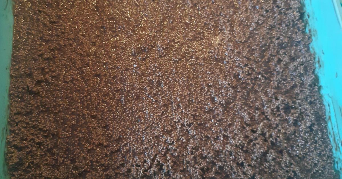 Amaranthkekse ohne backen, zuckerfrei und mehlfrei von NaYv. Ein ...