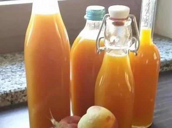 Pfirsichlikör  mit frischen Pfirsichen