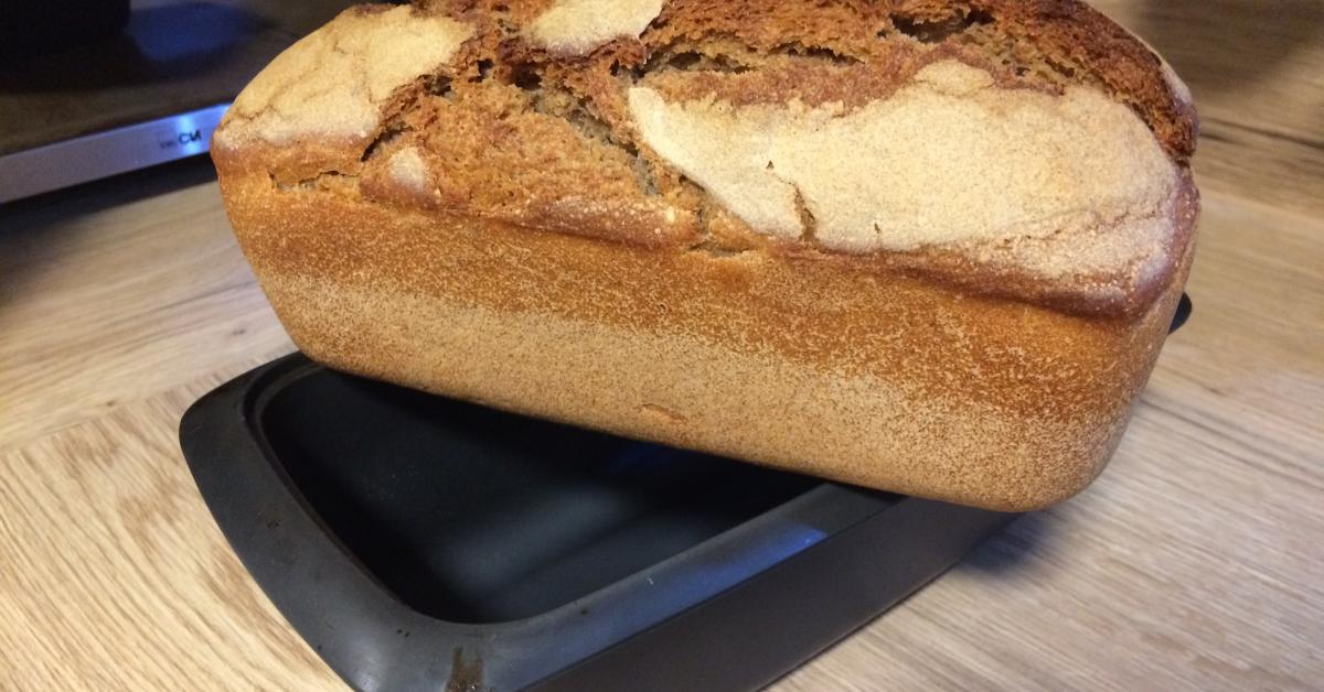 Braunschweiger Brot-Hermann (einfaches Sauerteig-Roggenbrot) von ...