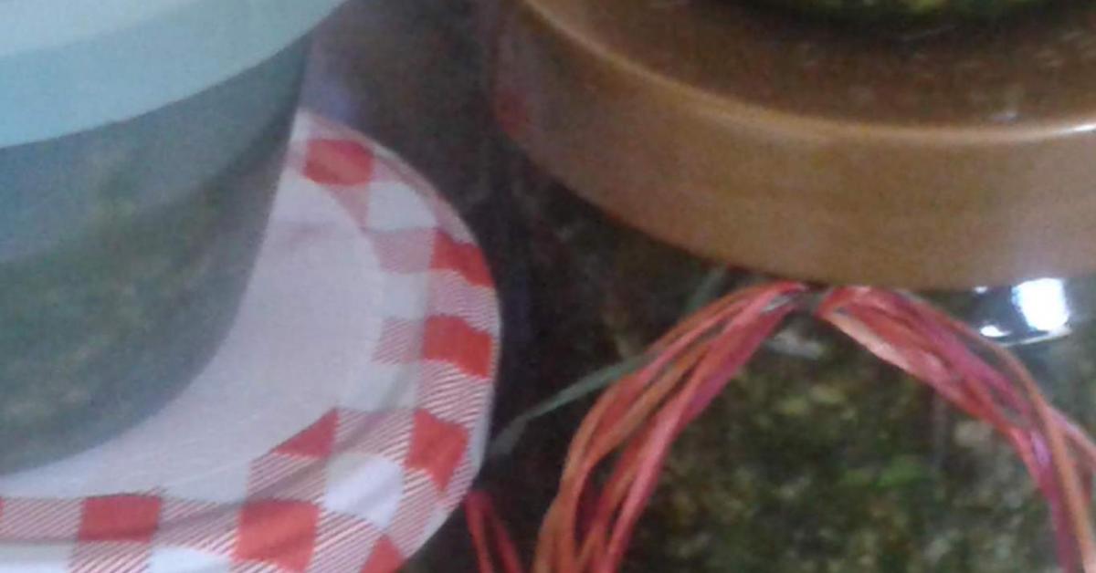 grobes Pesto - Knofel, Koriander &amp; Basilikum von Delphinfrau. Ein ...