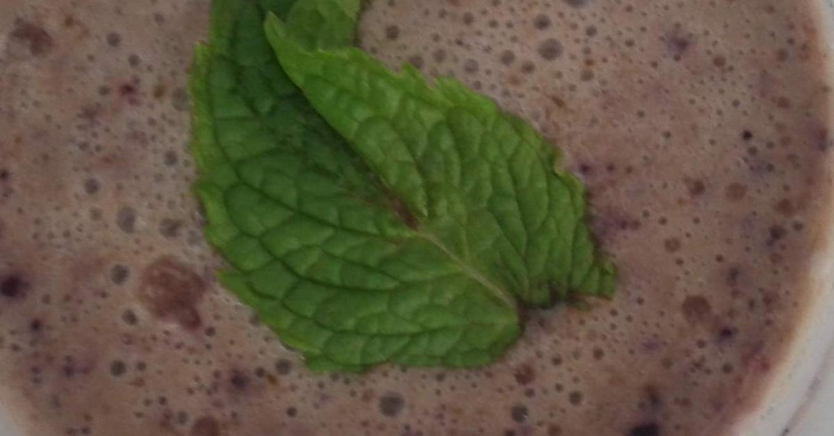 Blaubeer - Minze- Joghurt von Frank W. Ein Thermomix® Rezept aus der ...
