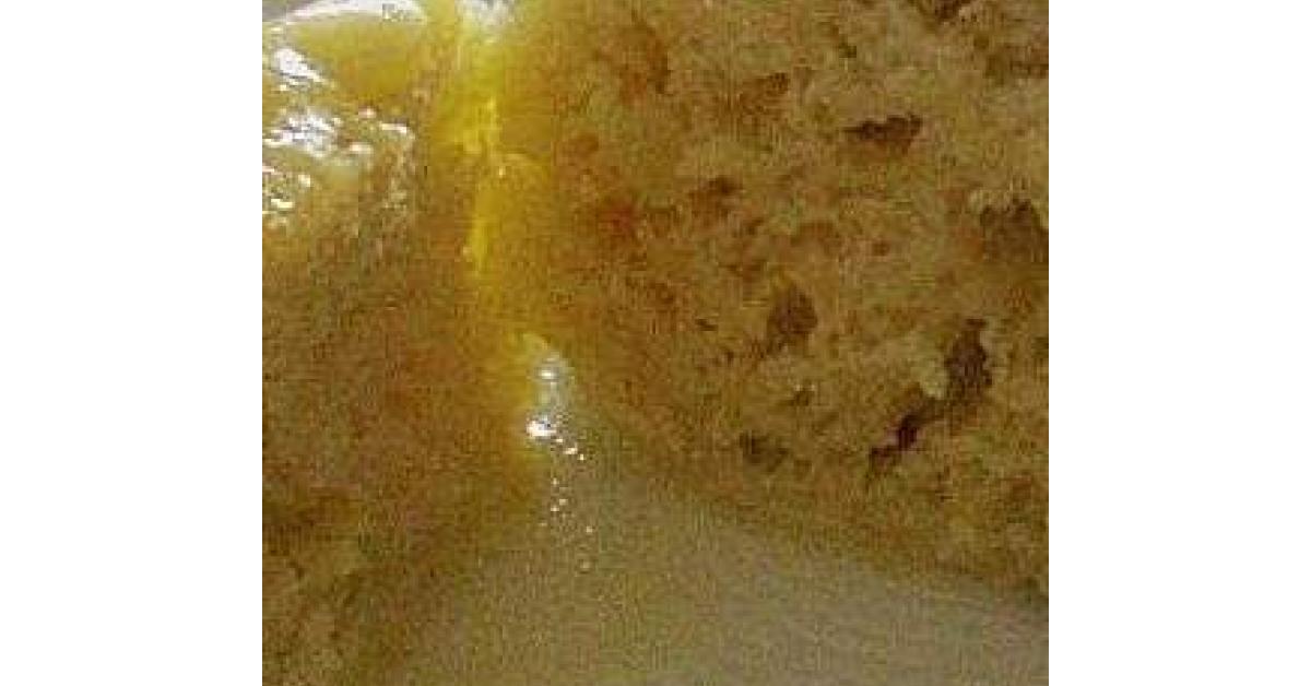 Dampfnudeln mit Vanillesauce von claudizl. Ein Thermomix® Rezept aus ...