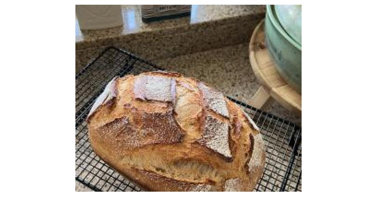 Großes Roggen-Mischbrot von Hebibe. Ein Thermomix® Rezept aus der ...